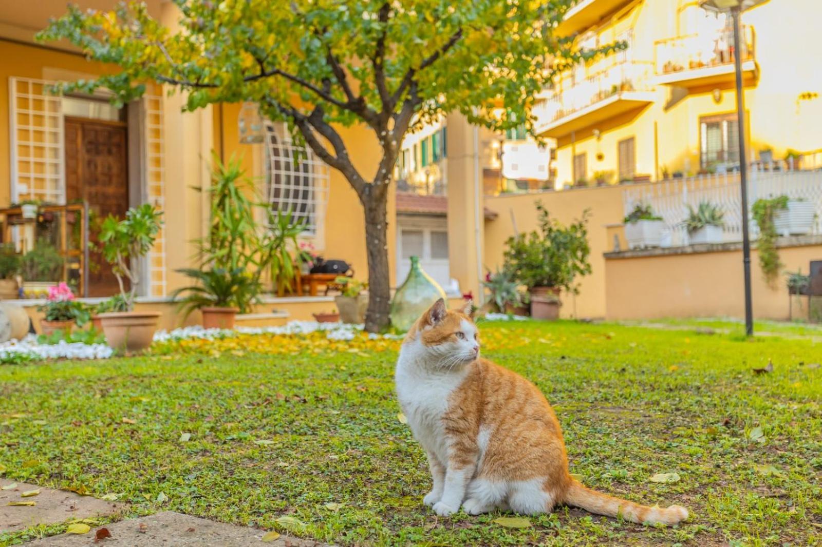 Villa Gatta Řím Exteriér fotografie